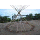 tony capanna alla riser