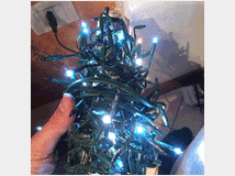 3773828 luci natalizie albero