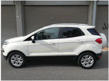 3795295 FORD EcoSport ford