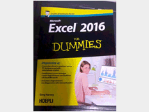 3804013 2016 For Dummies