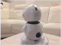 4011215 Idol Smart robot