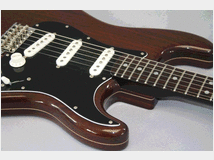 4247279 Stratocaster in palissandro