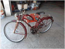 4303570  bicicletta moschito
