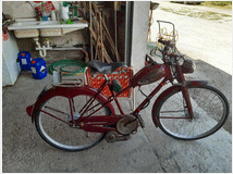 4303573  bicicletta moschito