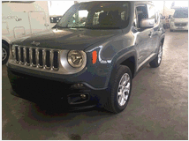 4618034 JEEP Renegade limited