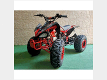 5001632 ACCESS MOTOR Sport
