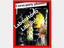 5242563 corso party planner