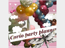 5242564 corso party planner
