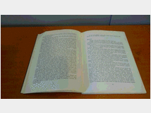 5347753 e germania/diario di