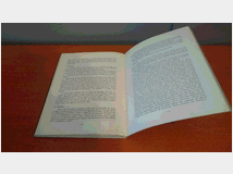 5347754 e germania/diario di