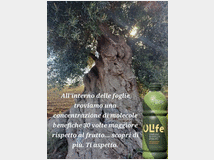 5348167 naturale 100% efficace