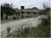 5348682 terreno boschivo mq500000