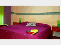 5348749 in affitto appartamento