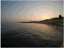 5349070 in affitto appartamento