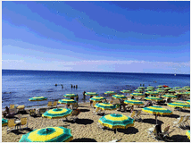 5349073 in affitto appartamento