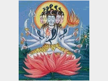 5349325 tantra