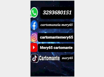 5349339 sensitiva con stesura