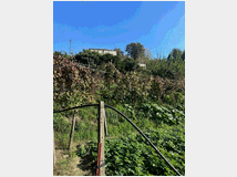 5349691 casale mq200 Da