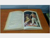 5349810 tesoro del bengala