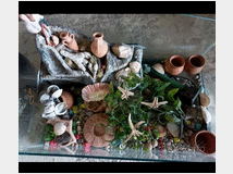 Acquario per tartarughe completo di accessori