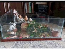 5350084 per tartarughe completo