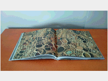 5350933 mondo. through the