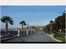 5350960 in affitto appartamento