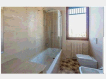 5350965 in affitto appartamento