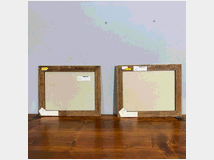 5351022 coppia splendidi dipinti