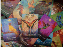 5351254 professionista