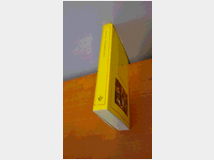 5352500 fenomeno stress