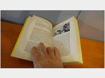 5352502 fenomeno stress