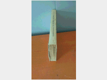 5352667 guerra giudaica volume