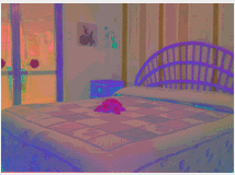 5353279 in affitto appartamento