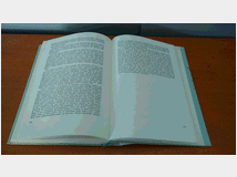 5353339 di frutticoltura