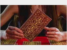 5353461 magici con risultati