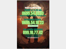 5355455 scopri cosa il