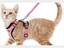 5356007 animali accessori e