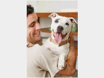 5356008 animali accessori e