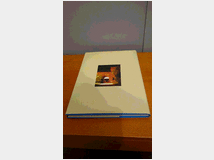 5356231 città che cresce-novara