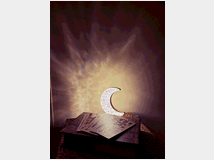 5356508 altamente qualificata