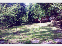 5357477 terreno edificabile mq1