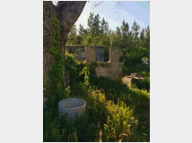 Terreno coltivabile mq38000 professionale