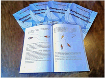 Guida alla navigazione senza patente nautica