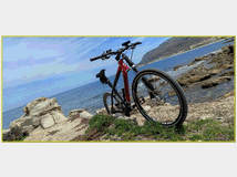 Bicicletta cannondale taurine mtb 26 total carbon