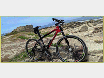 5363357 cannondale taurine mtb