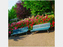 5363537 in affitto monolocale