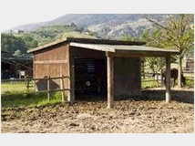 5364138 per animali da