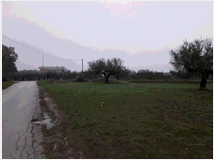 5365648 terreno edificabile mq3635