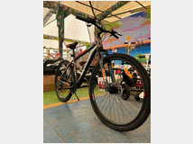 5369963 montainbike 29' leggerissima